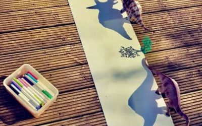 Shadow Drawing